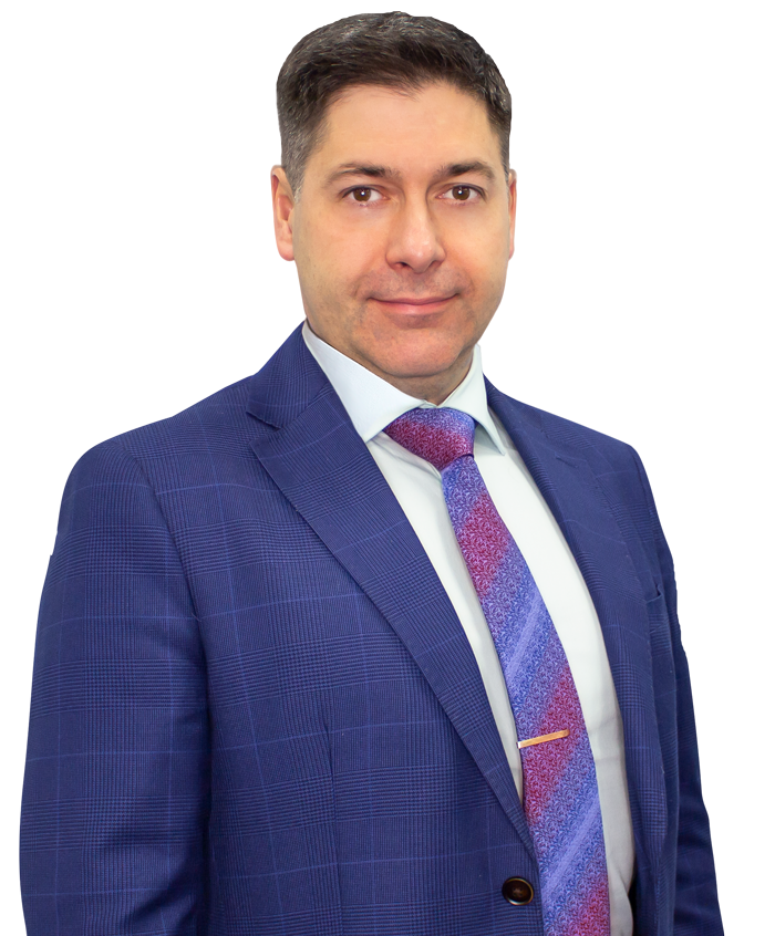 Владимир Каменецкий