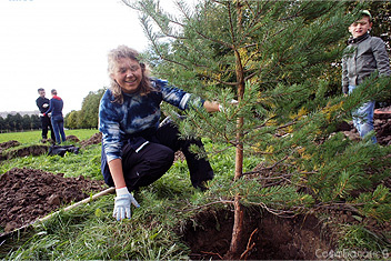 Сотрудники СофтБаланс посадили 38 сосен в парке Интернационалистов
