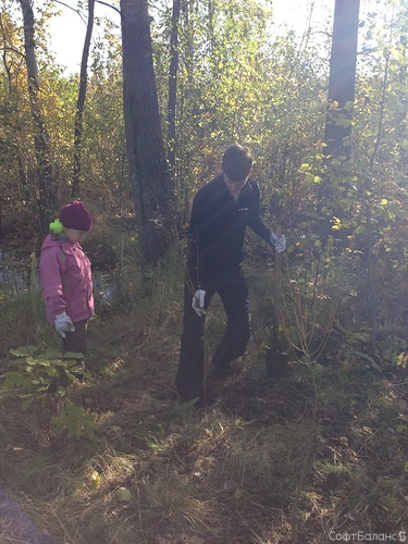 5 октября «СофтБаланс» принял участие в акции Бюро эко-решений GreenUp по посадке деревьев в Сестрорецке.