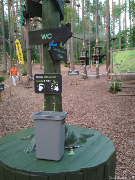 День Здоровья ДОР