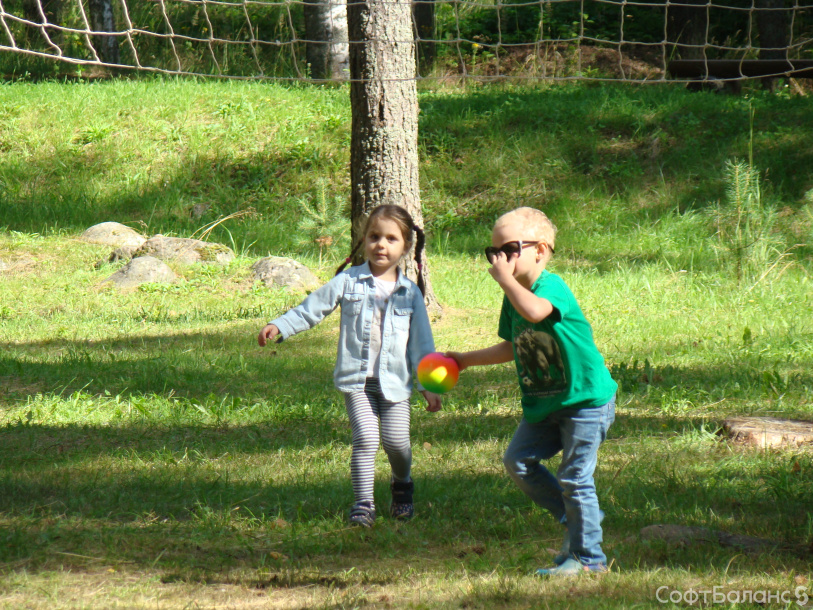 День здоровья Дивизиона 1С