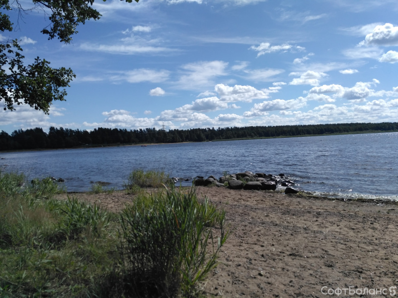 День здоровья Дивизиона 1С