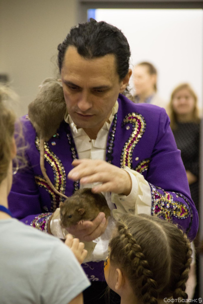 Когда зажигаются елки