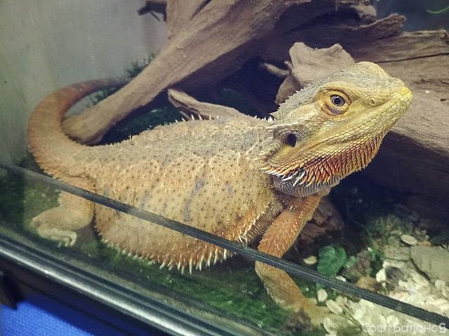 Дела житейские (МАЙ)