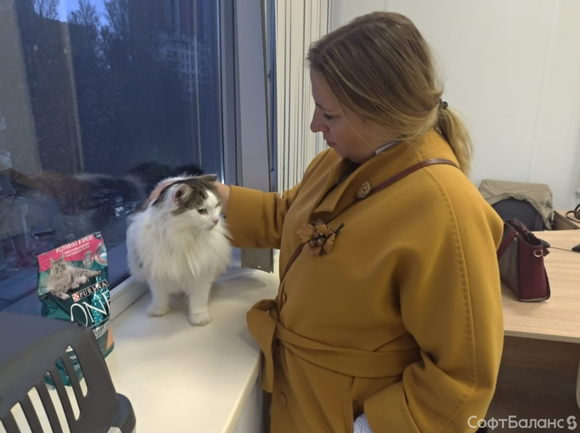 Дела житейские (ОКТЯБРЬ)