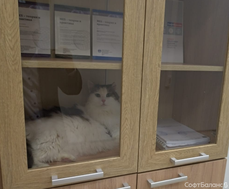 Дела житейские (ОКТЯБРЬ)