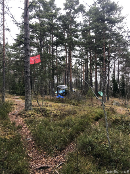 Дела житейские (НОЯБРЬ)