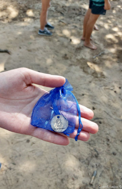 День здоровья Девизион 1С